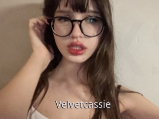 Velvetcassie