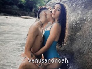 Venusandnoah