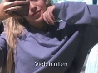 Violetcollen