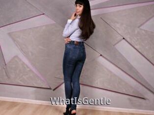 WhatIsGentle