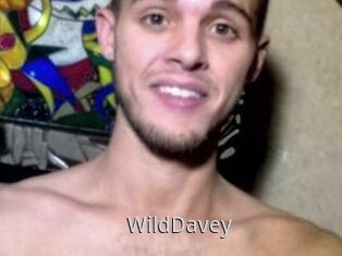 WildDavey