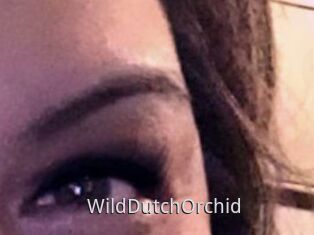 WildDutchOrchid